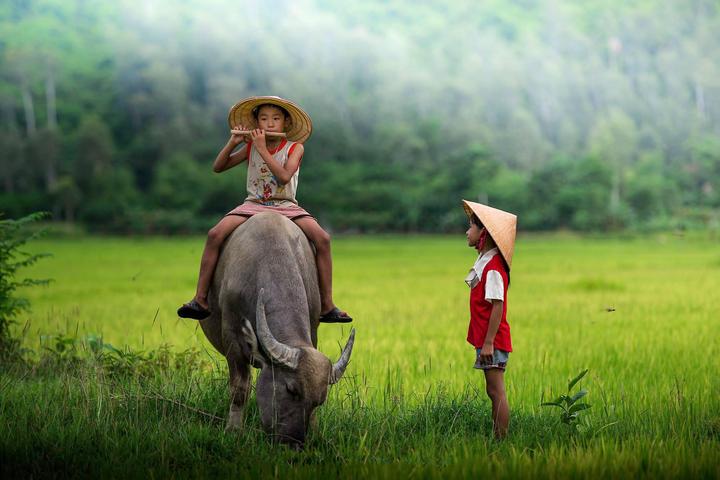 Đám cưới bị phản đối dữ dội - Cảm hứng video marketing từ Hotspot Matrix