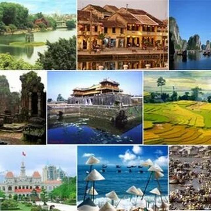 Hotspot Matrix và Cá Phổi Tây Phi: Sự Phát Triển trong Môi Trường Khắc Nghiệt
